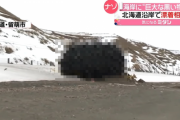 北海道で巨大な黒い物体が漂着し住民が困惑　正体はなんと・・・