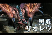 モンハン　モンハンに細かい設定とかリアリティとか求めだしたらキリないって昔から言われてるから