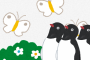 【動画あり】ちょうちょを追いかけるペンギンさんの群れが可愛すぎるｗｗｗｗｗｗｗ