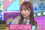 【日向坂46】『ひなあい』実現濃厚おかしな企画たちｗｗｗｗｗｗｗｗｗ