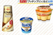 グリコ「プッチンプリン」など冷蔵商品、出荷再開できず停止期間延長決定