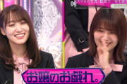 櫻坂46の2大お嬢様・菅井様＆有美子会長、扇風機を知らない！？www