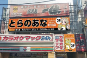 【悲報】同人ショップとらのあなさん、逝く。池袋店以外は全て閉店