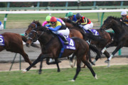 【失格降着で終わったかと】凱旋門賞帰りにジャパンカップと有馬記念を圧勝したディープインパクトってすげえな