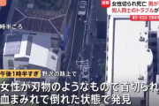 【事件】世田谷区野沢で韓国籍の女(40)が首切られる　男が逃走中【警視庁】