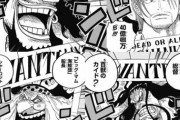 シャンクス40億　ドフラミンゴ41歳　ビッグマム43億　カイドウ46億　白ひげ50億　←インフレしすぎ