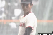 【東北民集合】甲子園東北勢全県初戦突破まであと2校【悲願達成へ】
