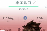 【ポケモンGO】ホエルコデカすぎ多過ぎで他の野生ポケモン隠してる問題