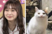 【乃木坂46】鈴木絢音と猫の顔がそっくりｗｗｗｗｗｗｗ