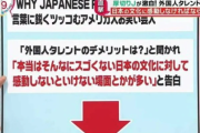 【悲報】外国人タレント「無理やり日本を褒めないと仕事をもらえない」
