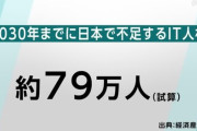 IT業界　人手不足なのに戦力になるまでの教育期間が長すぎて終わるwww