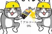 手洗いはちゃんとしてますか？お前らが笑ったコピーをぺーinばいくちゃんねる板