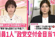 楽韓さん、本日の動向 - 中道に一人残して政党助成金をごっそりもらうとか恥知らずだなぁ