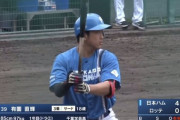 日ハムドラ2有薗直輝(18)　右安、中3、左本