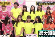 【乃木坂46】今後の乃木坂の『軍団』事情・・・・・