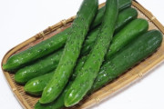 きゅうりなんか大漁にあったらぶつ切りにしてジップロックに入れて麺つゆと辛子入れて揉めば浅漬になる