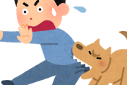 【質問】犬ってマジで噛んでくる？