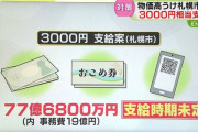 【朗報】高市早苗(おさな)物価高対策に3000円ｷﾀ━(ﾟ∀ﾟ)━!