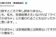 小西議員「安倍総理さえいなければ『クイズ王』とか『かぼちゃ』とか言われることもなかった」