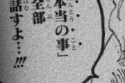 【悲報】ワンピースのあいつ、やっぱり生きてたｗｗｗｗｗｗｗｗｗ