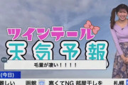 【画像】ツインテールの日、ウェザーニュースの民「毛量が凄い！！！！」
