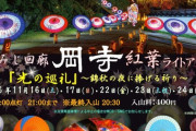 【紅葉ライトアップ】奈良県岡寺のもみじ回廊「光の巡礼」の魅力