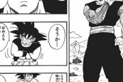 【ドラゴンボール】ラディッツ戦のカカロットとピッコロの戦闘力ｗｗｗｗｗｗｗｗｗ
