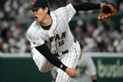 【侍世界一】大谷翔平、ほぼ全てを手に入れる【WBC】