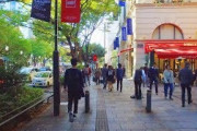 海外「おしゃれな人が集う秋の明治神宮周辺」休日の表参道を街ブラしてみた