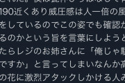 米津玄師「レジのお姉さんに俺じゃダメですか？と言ってしまい激烈アタック仕掛ける人みたいだ笑」