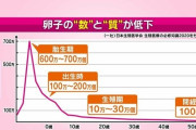 卵子の数は月に約1000個減少＆自然流産の確率は40代では40％以上…年齢とともにリスクが高まる高齢出産と卵子凍結のリアルを専門家が解説