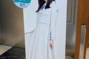 【乃木坂46】圧巻！等身大パネル一覧がこちら