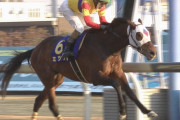 【競馬】川崎記念をG3に格上げしてフェブラリーSを盛り上げろよ