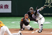 阪神マルテ３戦連発弾！井上コーチ「あおることはしない」助っ人加入も信頼