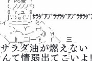 【ポンコツゴキステ信者】サラダ油が燃えないなんていう情弱出てこいよｗｗｗ