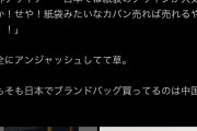 一流ブランド「日本人がブランド品の紙袋をバッグ代わりに使っていることに着目しました」→結果ww