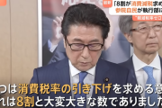 【！？】自民党参院議員の8割「消費税減税やろうよ！！」