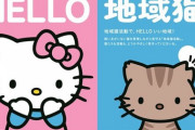 【悲報】ハローキティさん、地域猫だった