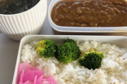 【画像あり】今日のワイの昼ごはんカレー弁当！！！！！！