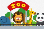 旭川・旭山動物園近く　バスや乗用車など約10台がからむ多重事故