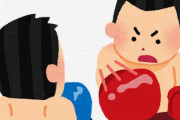 【悲報】ボクシングさん、階級が多すぎる