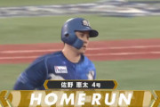 DeNA佐野恵太、4号3ランを放ち「青薔薇」を手にデスターシャ！