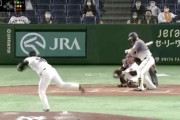 サンズが判定に切れたストライクの画像