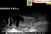 【画像】クマ界のラスボスついに現れる・・・・・