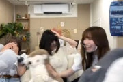 「ゴミ箱」を英語っぽく言ってみた【幸阪茉里乃】【櫻坂46】