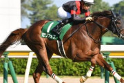 【競馬予想】第56回デイリー杯2歳ステークス(G2) /2021