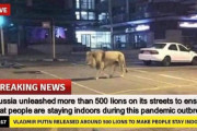 プーチンが国民に在宅を促すためにライオン800頭を街に放ったというデマ拡がる(海外の反応)