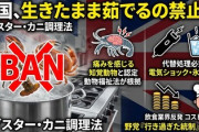 【悲報】現英政権「意識ある状態でカニなど甲殻類をゆでる調理法禁止」一方、日本人はカニカマを極限まで極めていた
