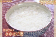 【悲報】貧困日本、とうとう水かけご飯という貧乏飯が流行ってしまう...