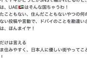 【朗報】ドバイ有識者「ドバイでヤギとか騒がれてるけどそんな国じゃない、住みやすくて優しい街」